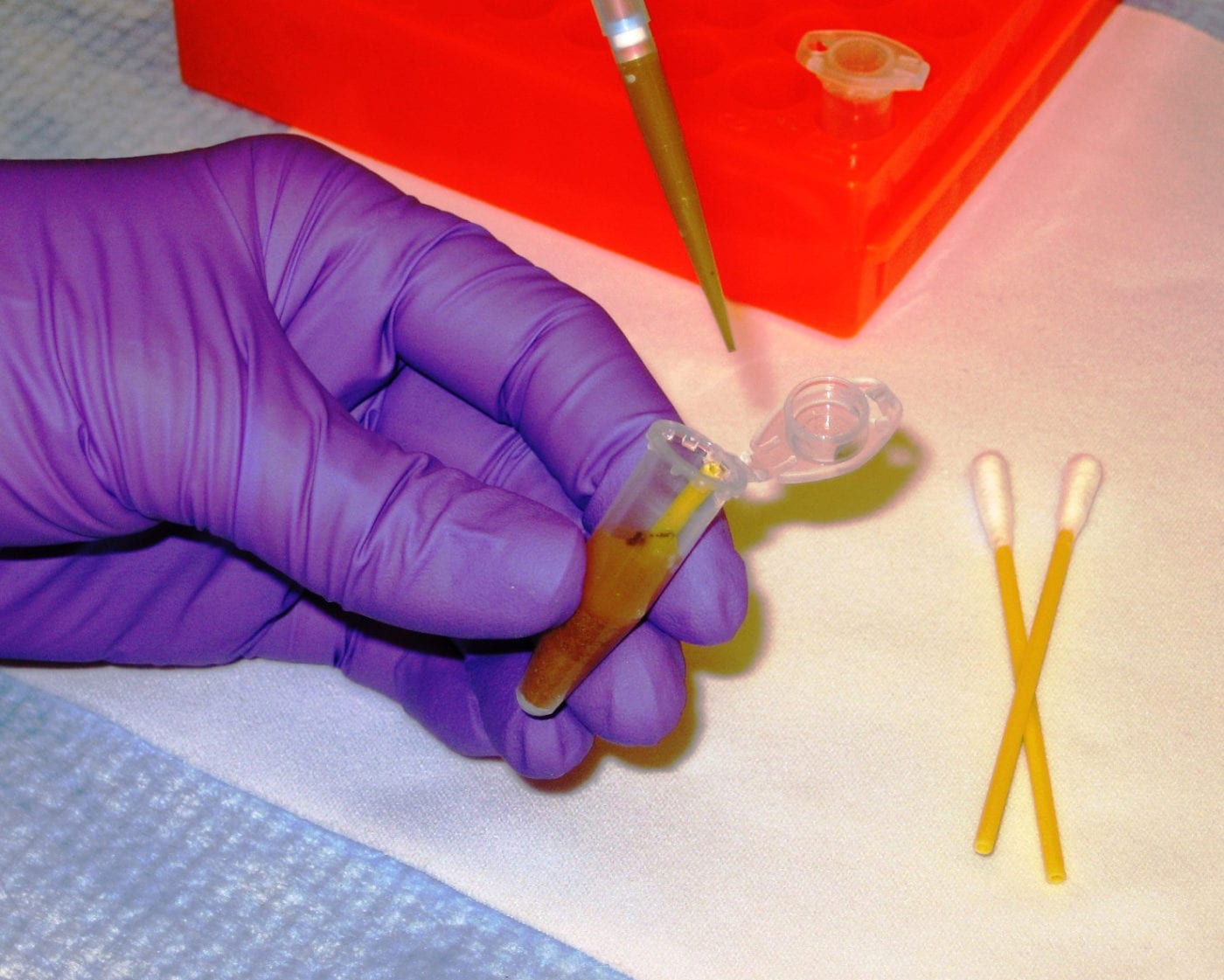Paternity Tests
